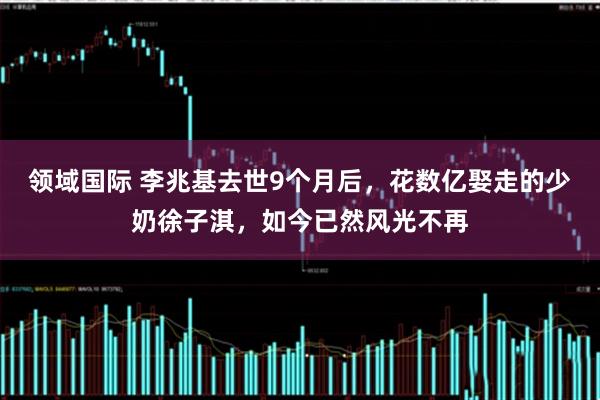 领域国际 李兆基去世9个月后，花数亿娶走的少奶徐子淇，如今已然风光不再